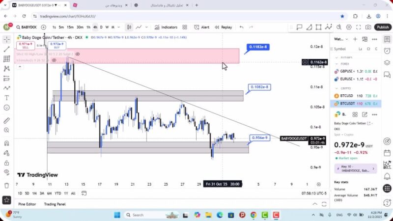 تحلیل بیبی دوج امروز 11 آبان 1404