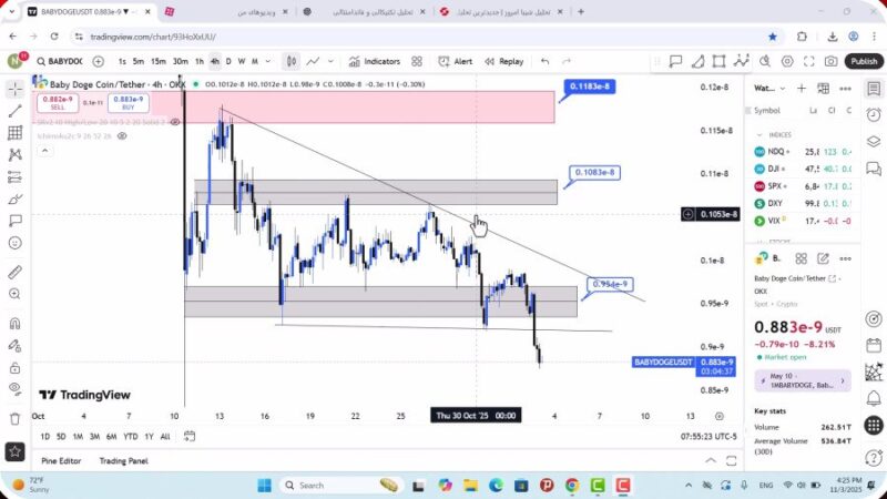 تحلیل بیبی دوج امروز 12 آبان 1404