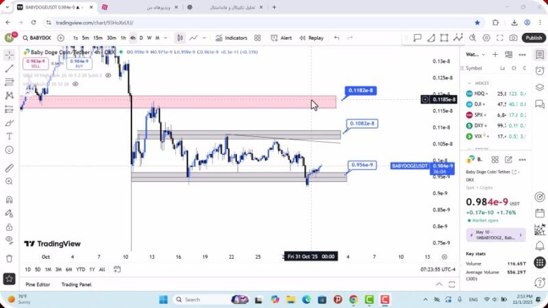 تحلیل بیبی دوج امروز 10 آبان 1404