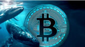 نهنگ‌های بیت کوین و نحوه تشخیص آنها