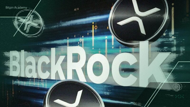 افشاگری جنجالی تحلیلگر رمزارز: چه رازی بلک‌راک و ریپل را به هم پیوند زده است؟