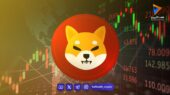شیبا اینو به پایین‌ترین سطح یک‌سال‌ونیم اخیر رسید