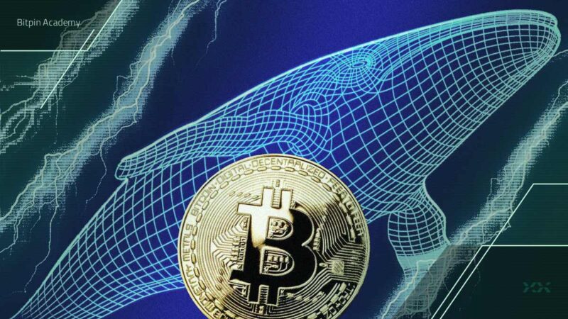 فعال شدن ناگهانی کیف پول ۱۵ ساله بیت کوین؛ آیا نهنگ‌های قدیمی بازار را تکان می‌دهند؟