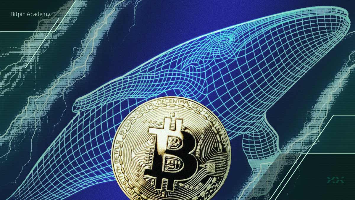 فعال شدن ناگهانی کیف پول ۱۵ ساله بیت کوین؛ آیا نهنگ‌های قدیمی بازار را تکان می‌دهند؟