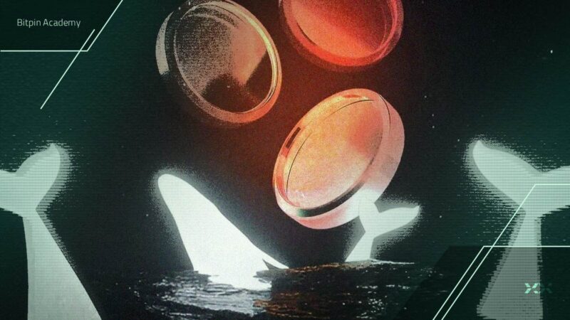 حرکت جنجالی نهنگ مشهور: خرید ۸ آلت‌کوین با ۷۵ میلیون دلار سرمایه!