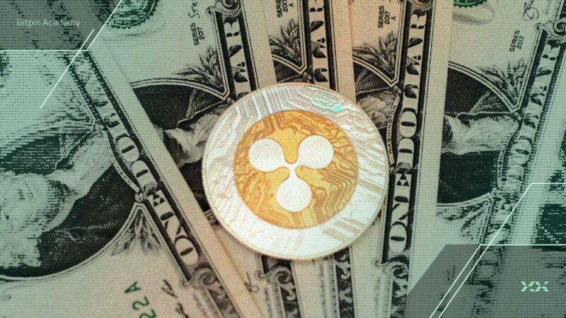 چرا ریپل (XRP) در آمریکا رکورد ETF‌های کریپتو را شکست؟