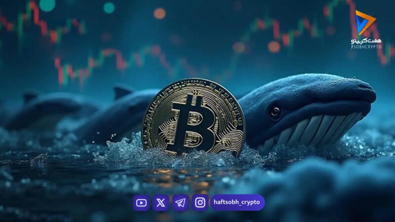 راز کیف پول ۱۵ ساله فاش شد؛ چه کسی خوابیده‌ی بازار را بیدار کرد؟