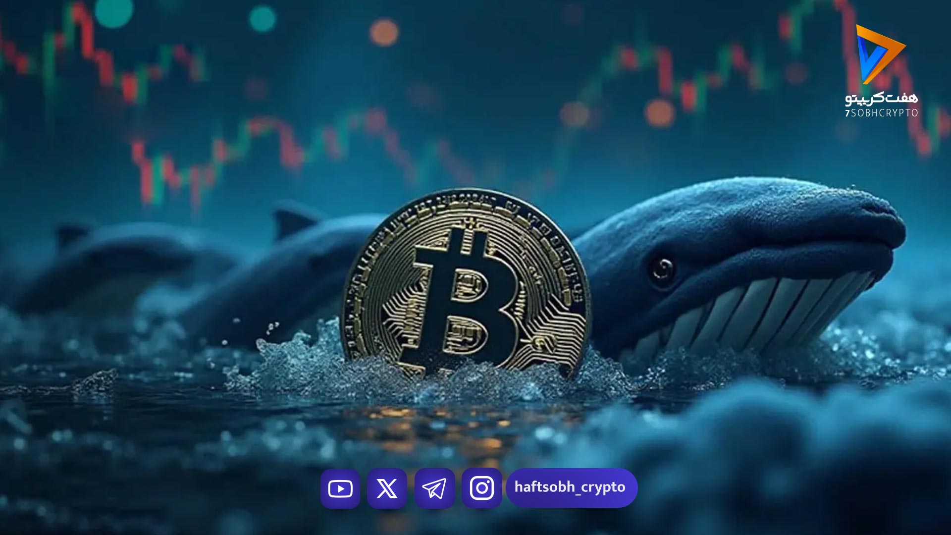 راز کیف پول ۱۵ ساله فاش شد؛ چه کسی خوابیده‌ی بازار را بیدار کرد؟