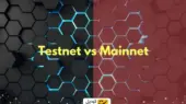 مین نت یا تست نت؟ رازهای شبکه‌های بلاک چین که باید بدانید!
