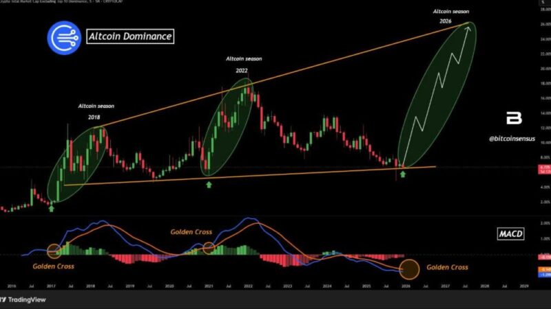 آیا آلت‌ سیزن ۲۰۲۶ در راه است؟ نشانه‌های نگران‌کننده در دامیننس آلت‌کوین‌ها!