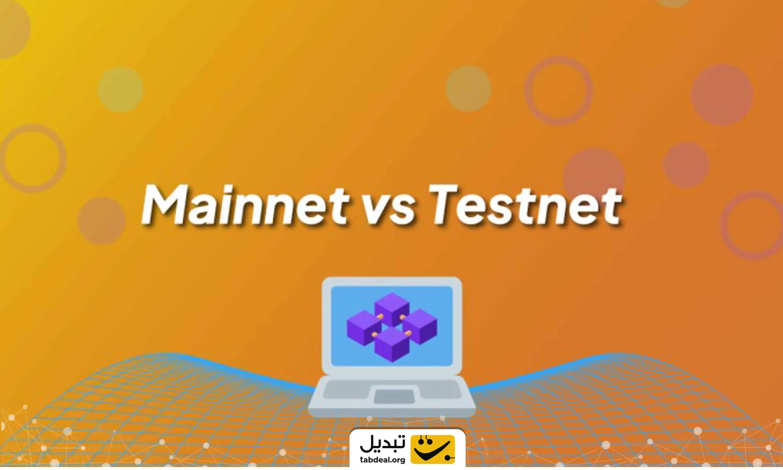 تفاوت شبکه مین نت و تست نت چیست؟