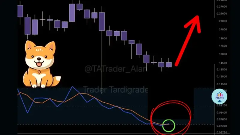 الگوی طلایی دوج‌کوین خبر از جهش بزرگ می‌دهد؛ هدف قیمتی شگفت‌انگیز مشخص شد!