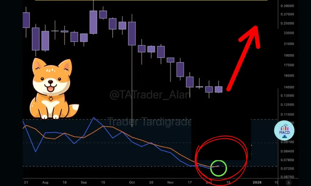 الگوی طلایی دوج‌کوین خبر از جهش بزرگ می‌دهد؛ هدف قیمتی شگفت‌انگیز مشخص شد!