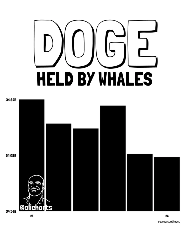 دوج‌ کوین (DOGE)