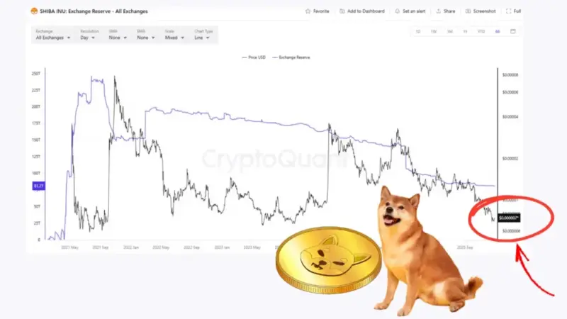 شیبا اینو در آستانه بازگشت؟ شاخص تکنیکال مهمی که همه را امیدوار کرد!