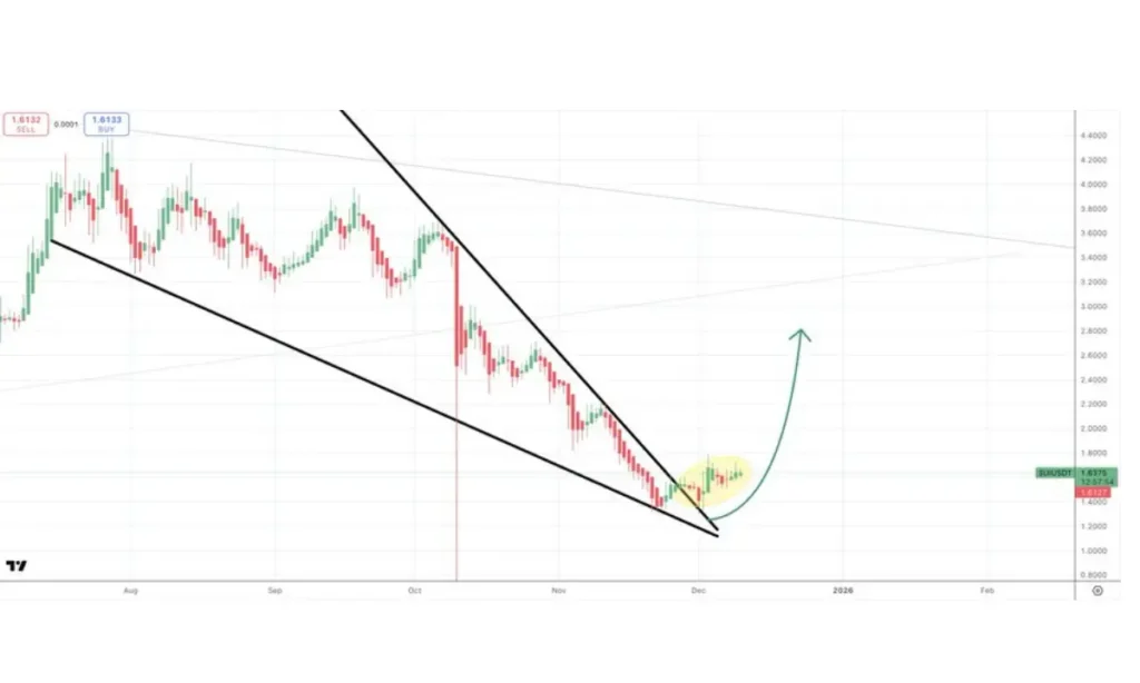 آلت‌کوین سویی چگونه از الگوی نزولی فرار کرد؟ هدف بعدی قیمت مشخص شد!