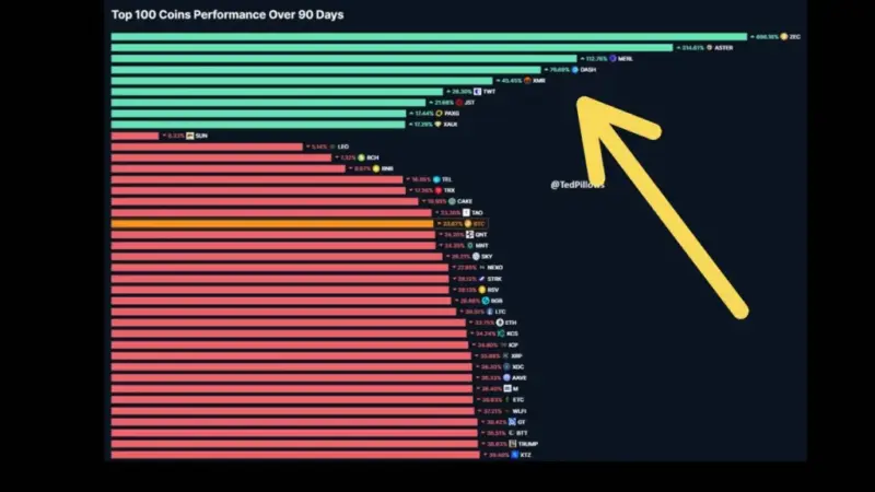 ۹ آلت‌کوین قهرمان در دل بازار خونین ۲۰۲۵؛ این ارزها چگونه سربلند ماندند؟