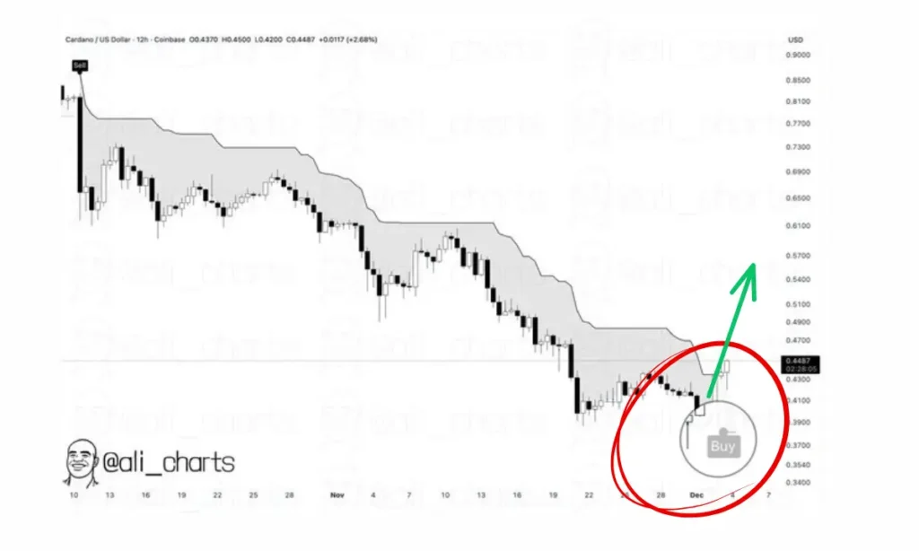 سیگنال نهایی به دوج کوین و کاردانو؛ آیا زمان خرید طلایی فرا رسیده است؟