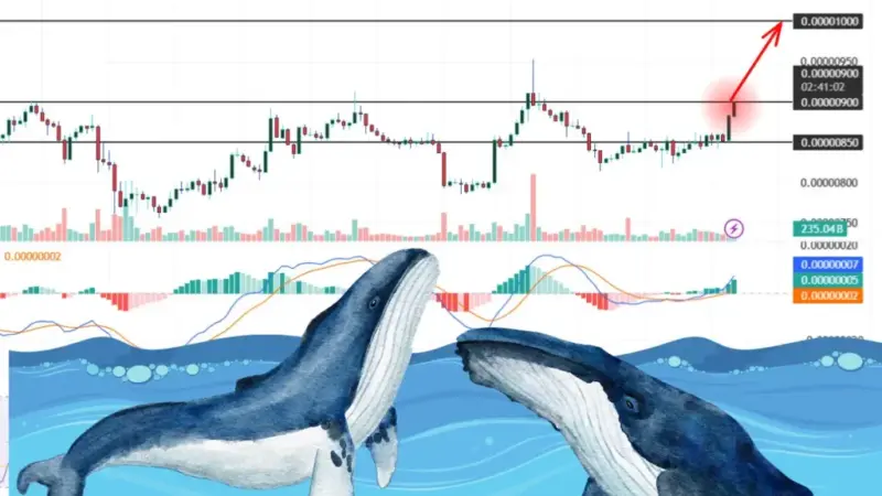 بیداری نهنگ‌های شیبا اینو؛ جابجایی‌های میلیاردی که بازار را تکان داد!