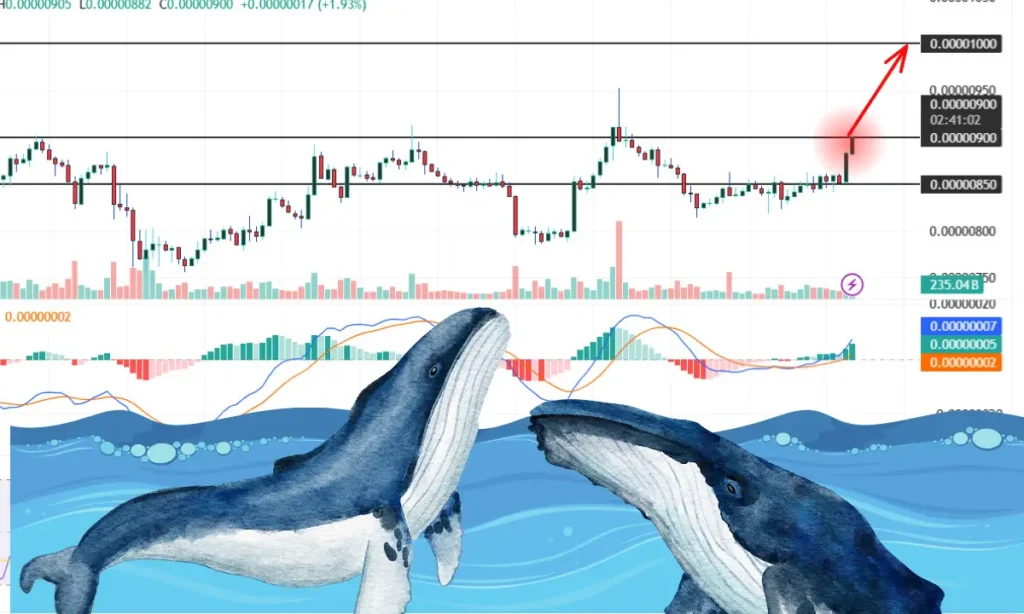 بیداری نهنگ‌های شیبا اینو؛ جابجایی‌های میلیاردی که بازار را تکان داد!