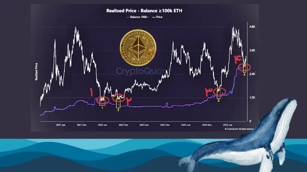 اتریوم دوباره به سطح خرید نهنگ‌ها رسید؛ آیا فرصت طلایی ۲۰۲۱ تکرار می‌شود؟