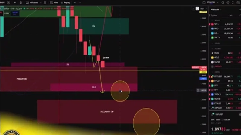 فرصت تازه برای هولدرهای ریپل در بازار کریپتو