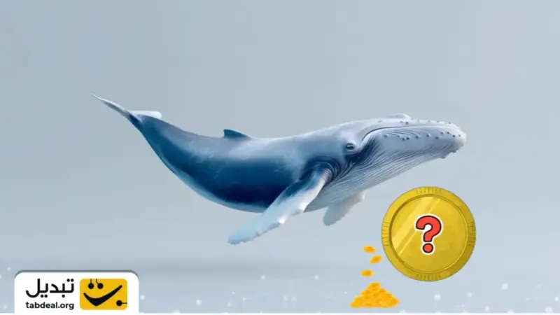 نهنگ بزرگ ارز دیجیتال در اوج ترس بازار؛ خرید حیرت‌انگیز ۱۰۰ میلیون دلار اتریوم در کف قیمت!