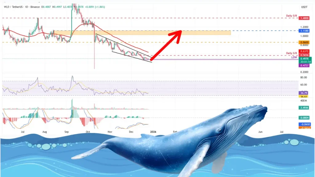 خرید سنگین نهنگ‌ها در ورلدکوین؛ آیا این آلت کوین به رکورد جدیدی می‌رسد؟