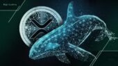 فروش ۲۸۰ میلیون XRP توسط نهنگ‌ها در یک هفته؛ آیا حمایت حیاتی ۲ دلاری ریپل دوام می‌آورد؟