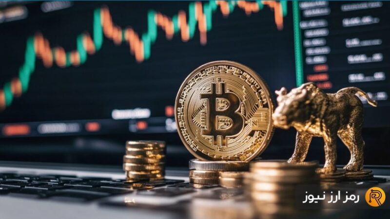 ۲۲۹ روز سبز بیت‌کوین در ۲۰۲۵؛ هولدرهای کوتاه‌مدت چه راز مهمی را فاش کردند؟