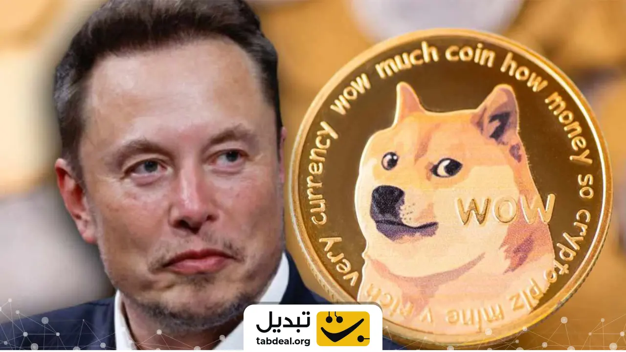 ایلان ماسک چه ارزهایی نگه میدارد؟