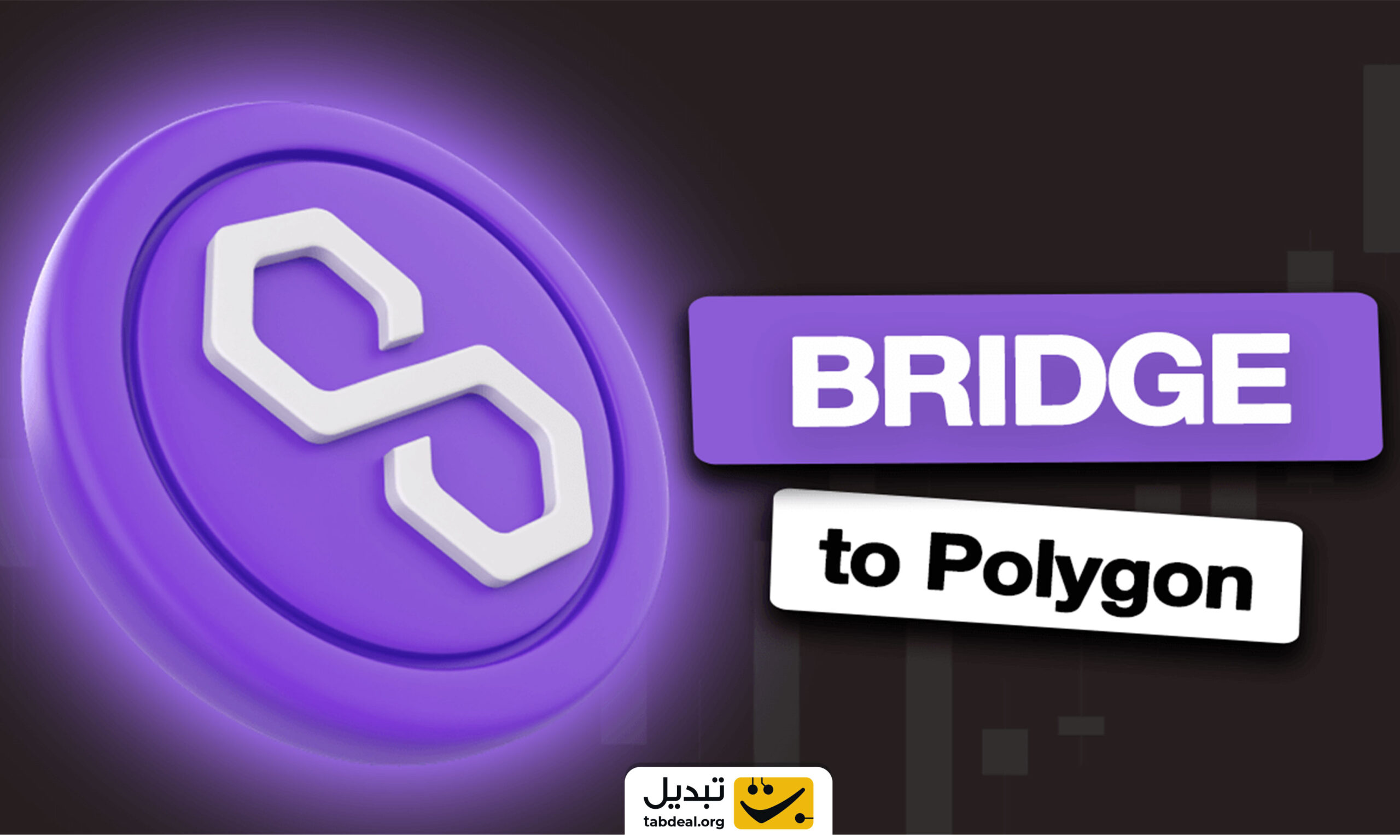 چطور به شبکه پالیگان بریج کنیم؟