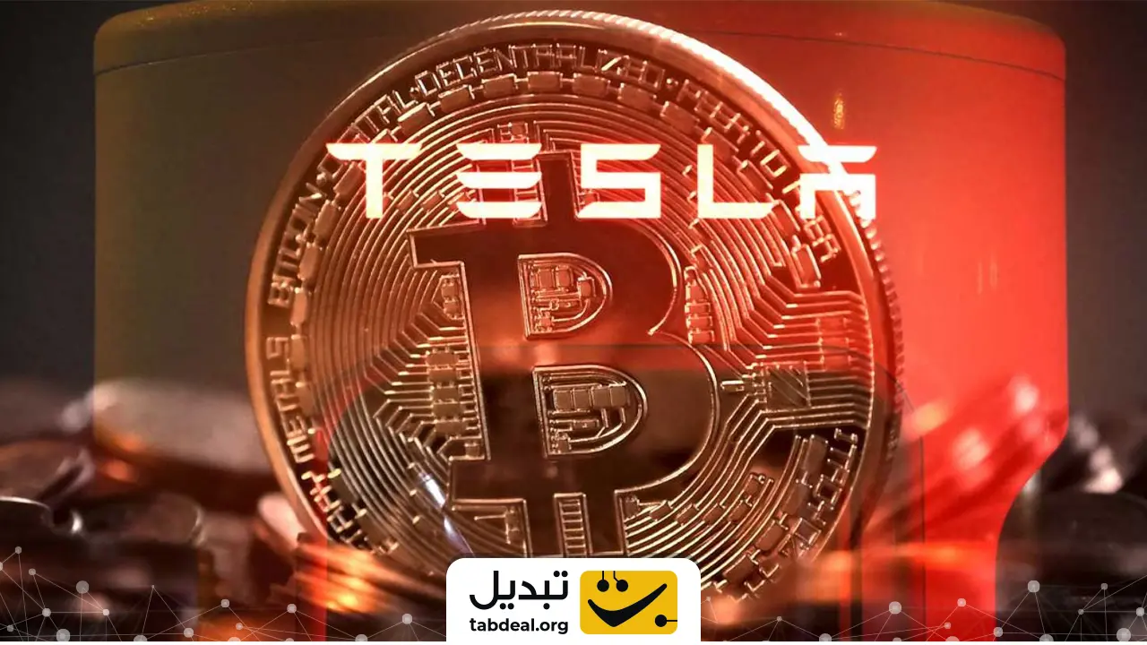 ایلان ماسک چه ارزهایی نگه میدارد؟