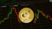 سقوط ۴ درصدی دوج‌کوین همزمان با خرید سنگین نهنگ‌ها