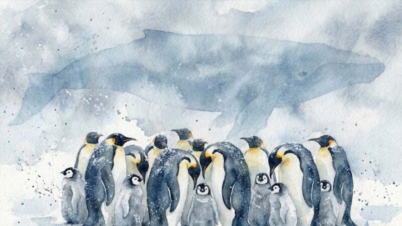 جنگ سرمایه‌گذاران بر سر پنگو؛ قیمت PENGU چه واکنشی خواهد داشت؟