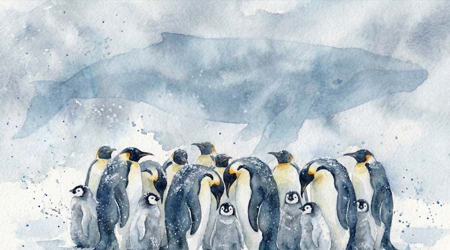 جنگ سرمایه‌گذاران بر سر پنگو؛ قیمت PENGU چه واکنشی خواهد داشت؟