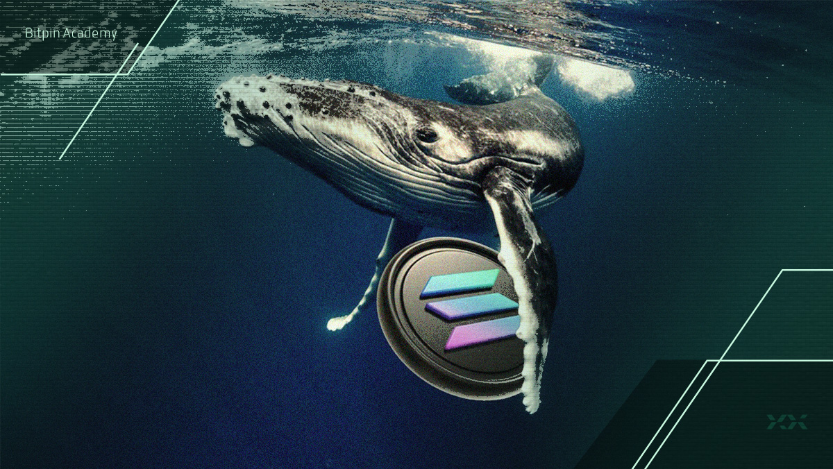 حرکت ۲۸ میلیون دلاری نهنگ سولانا؛ آیا قیمت SOL به ۱۴۵ دلار نزدیک می‌شود؟