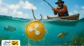 ریپل در کم‌ارزش‌ترین نقطه؛ فرصتی طلایی برای شکار بهترین قیمت‌ها!