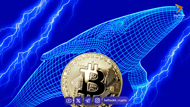 نهنگ معروف بیت‌کوین روی رشد قیمت بیت‌کوین، اتریوم و سولانا شرط‌بندی می‌کند