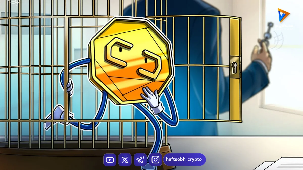 انتقادها از برنامه بازگردانی بلاک‌چین فلو پس از حمله ۳.۹ میلیون دلاری