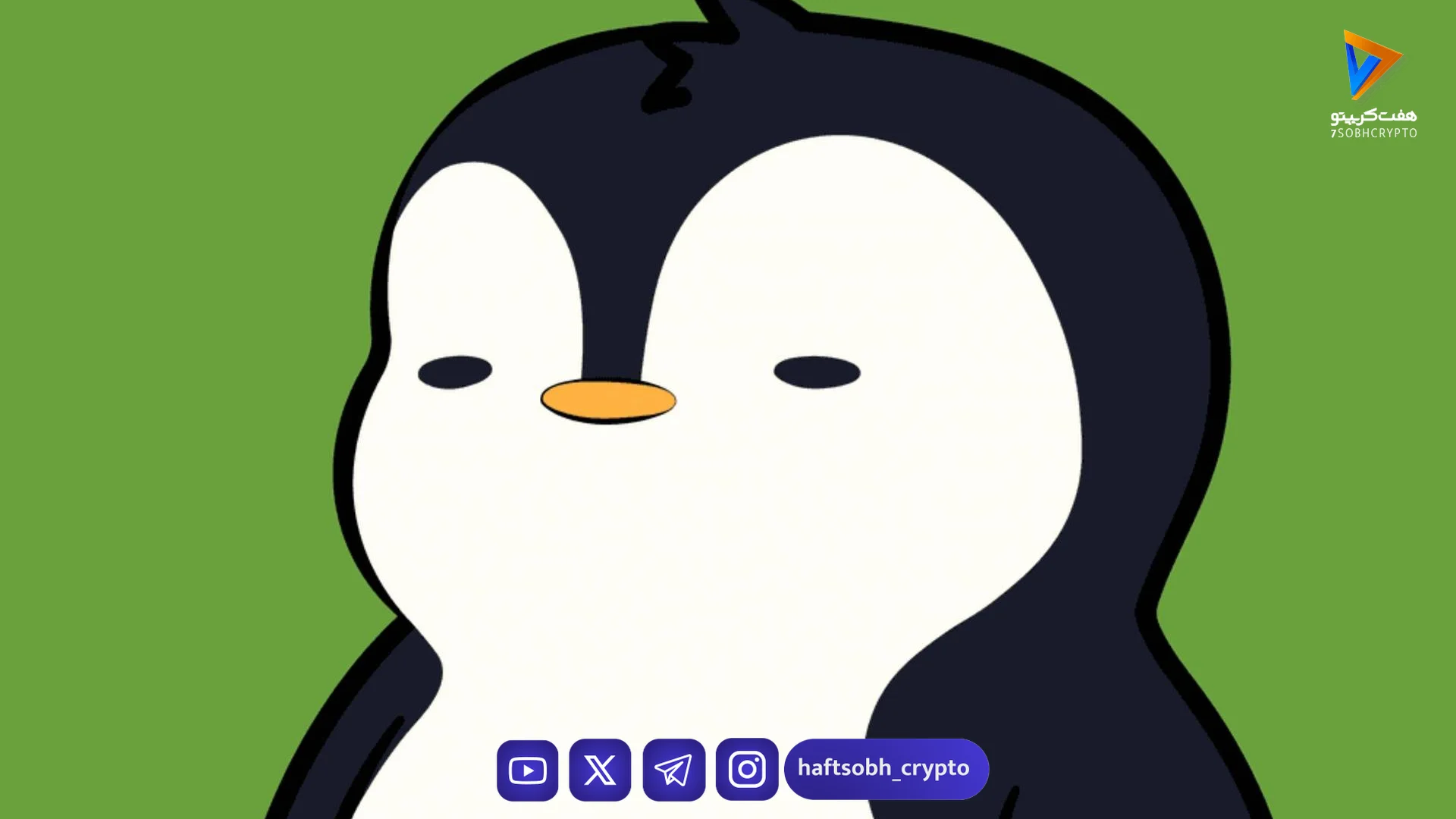 Pudgy Penguins روی صفحه‌نمایش‌های لاس‌وگاس!