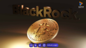 بلک‌راک: ETF بیت‌کوین اسپات، یکی از سه محور سرمایه‌گذاری اصلی در ۲۰۲۵