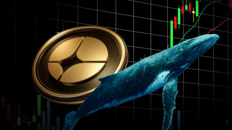 نهنگ‌های استر با خرید میلیونی بازار را تکان دادند؛ ASTER از کانال نزولی فرار کرد!