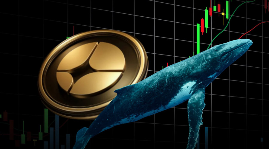 نهنگ‌های استر با خرید میلیونی بازار را تکان دادند؛ ASTER از کانال نزولی فرار کرد!