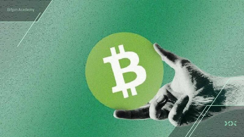 چرا بیت کوین کش در ۲۰۲۵ بهترین رمزارز لایه اول جهان شد؟ راز موفقیت بی‌نظیر BCH فاش شد!