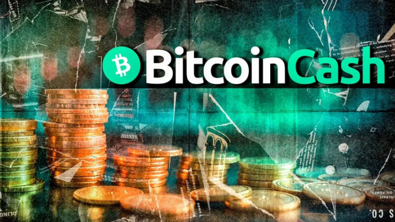 لیست پرسودترین رمزارزهای لایه اول در سال ۲۰۲۵ منتشر شد؛ بیت‌کوین کش در صدر!