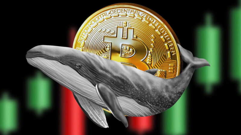 بیت‌کوین در اوج ۳ هفته‌ای؛ آیا بازگشت واقعی است یا بازی نهنگ‌ها؟