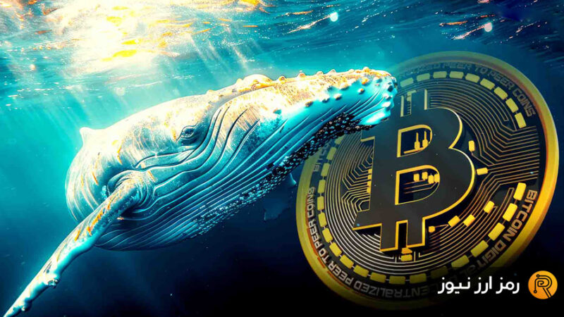راز سرکوب قیمت بیت‌کوین؛ بازی پنهان نهنگ‌های قدیمی که بازار را تحت فشار گذاشته‌اند!
