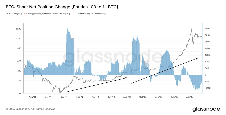 bitcoin-sharks-accumulate-fastest-pace-in-13-years-btc-dow