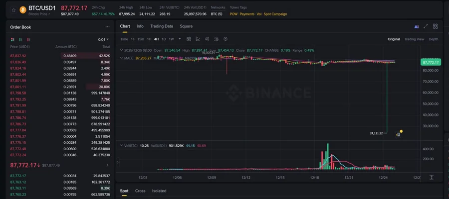 bitcoin-triggers-sharp-flash-crash-to-24k-on-binance-usd1-pair-